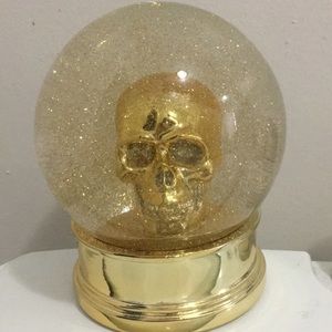 Skull Snow Globe